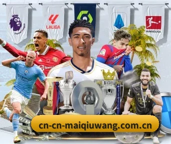 买球网 APP(maiqiuwang)
